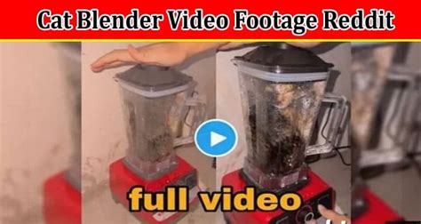 twitter cat blender|Cat Blender Video